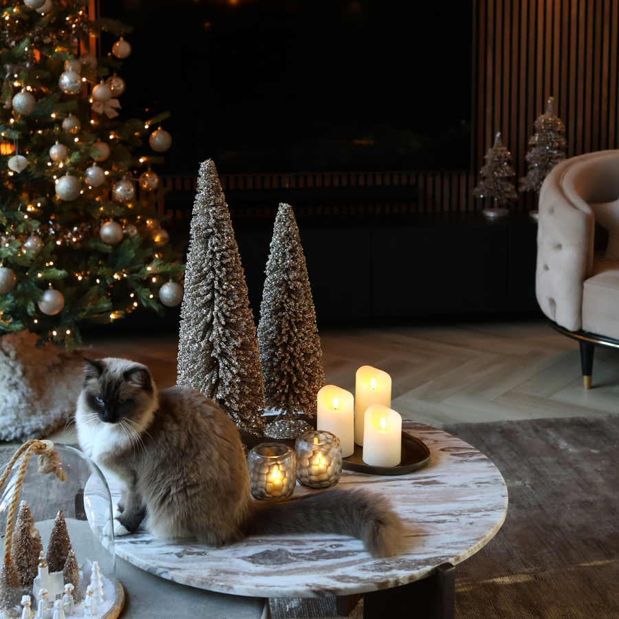 Een kat ligt op de salontafel bij de kerstboom, naast brandende Akaro kaarsen