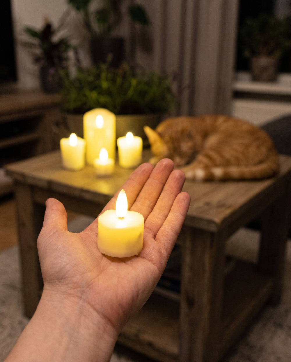 Brandend Akaro waxinelichtje in een open handpalm, met een slapende kat op de achtergrond